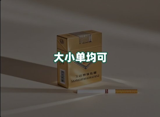 核心优势